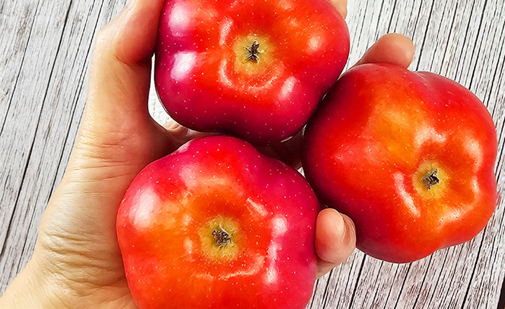 프리미엄!<br>영주 별사과