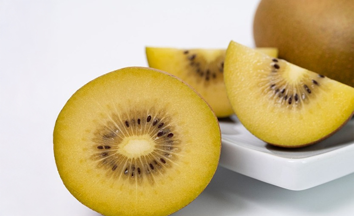 제스프리<br>제주 골드키위