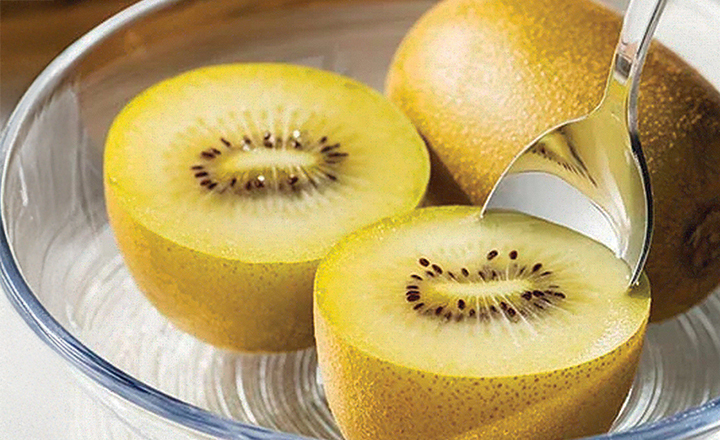 달콤한<br>제주 골드키위