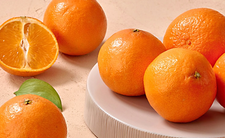 신품종<br>고당도 홍매향