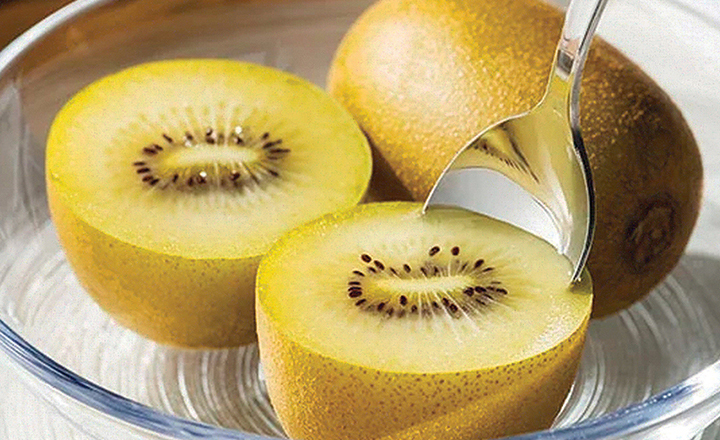 제주산<br>골드 키위