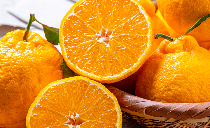 달콤함 폭발!<br>한라봉