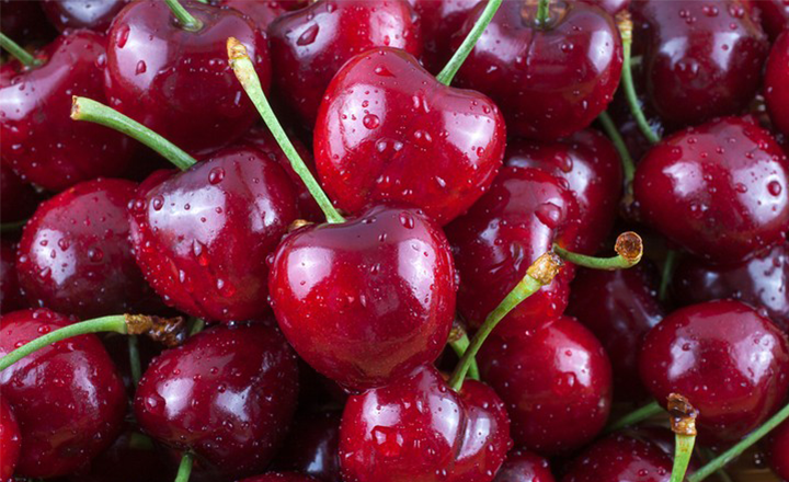 여왕의 과일<br>생 체리
