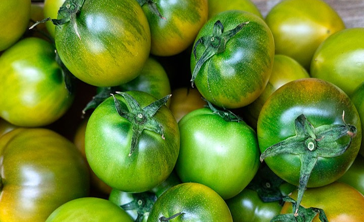 해풍맞은<br>짭짤이 토마토 