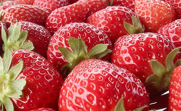 새콤달콤<br>설향 딸기