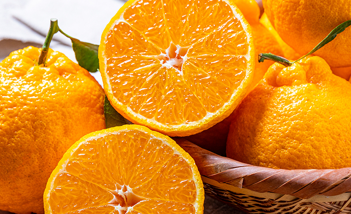 파격특가<BR>제주 한라봉