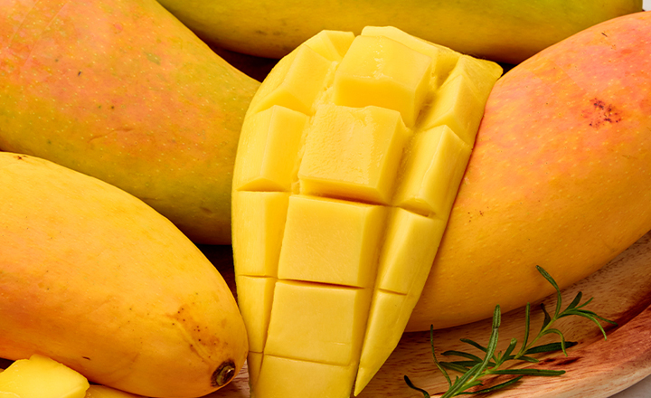  마하차녹<br>무지개 망고