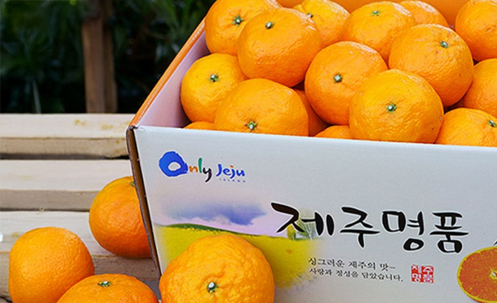 새콤달콤<br>제주 카라향