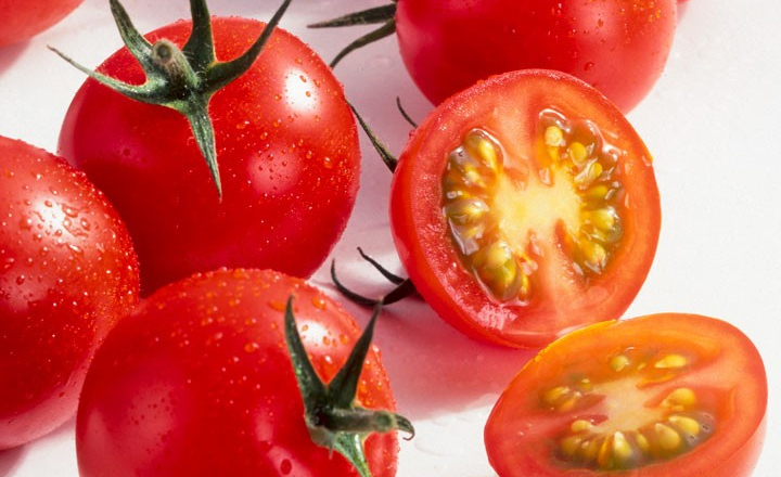 스마트팜<br>스테비아 토망고