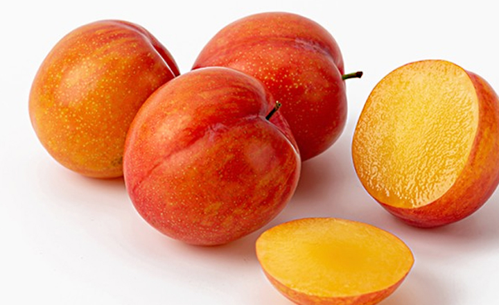 26년 첫출하!<BR>하우스 자두